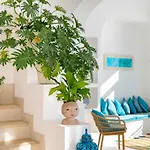 Casa Fioravante