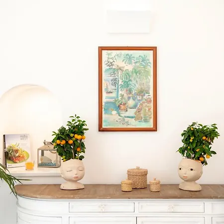 Affittacamere Casa Fioravante Positano